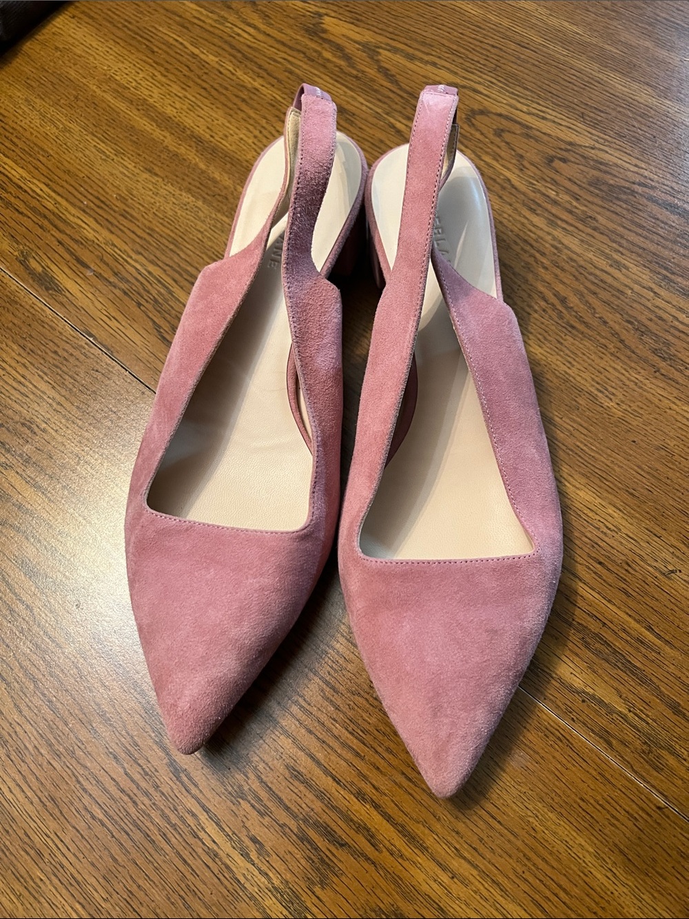 Everlane Pink Suede Pointed Slingback